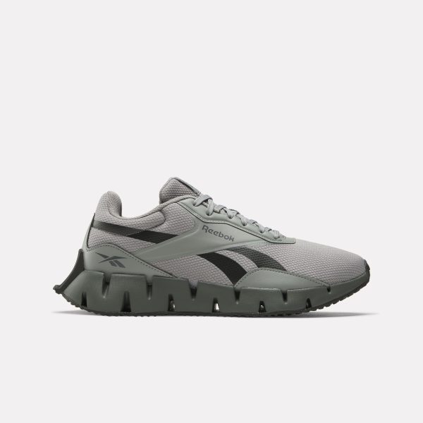 Zig Dynamica STR Running Shoes
